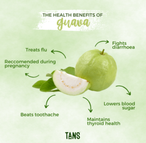 Guava : Top Health Benefits of Guava